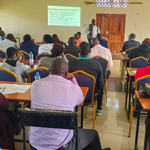 716c6cbe-883d-40b0-9b19-0fa6d3c51f00 - Copy