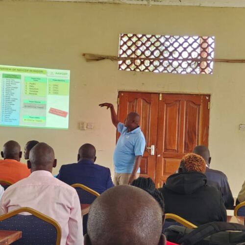 7ac8d204-cb6a-485f-b4bd-1a2f49df4177