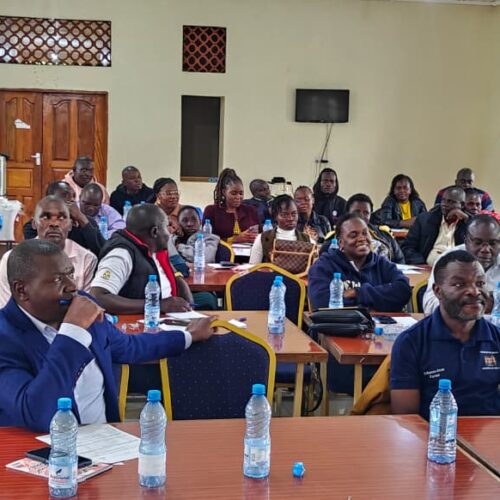 d68f276e-d17f-4985-ba93-f5120c429cce - Copy