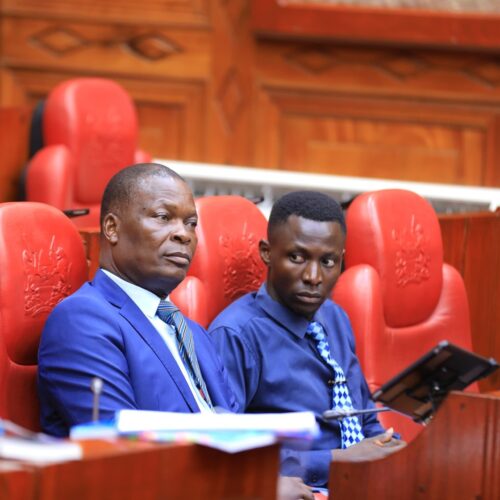 648838085_122258045258157919_2840474988249936000_n