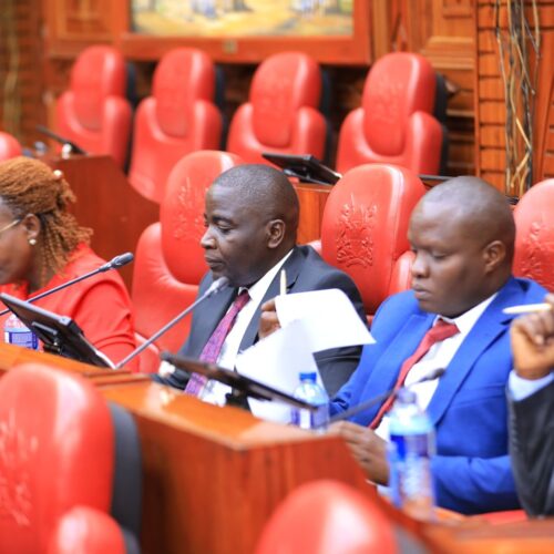 648842737_122258045222157919_5489155185710950885_n