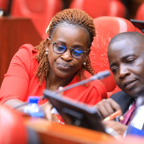 650136501_122258045006157919_2607408366534120423_n