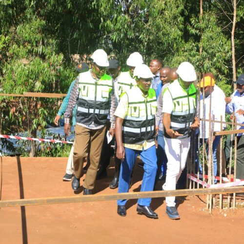 654717981_122259269504157919_7373520009433742816_n