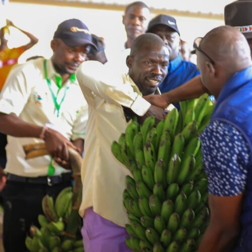 658340883_122260128158157919_2220260030277929707_n