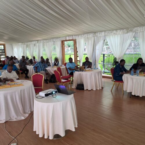 WhatsApp Image 2026-04-16 at 11.07.22