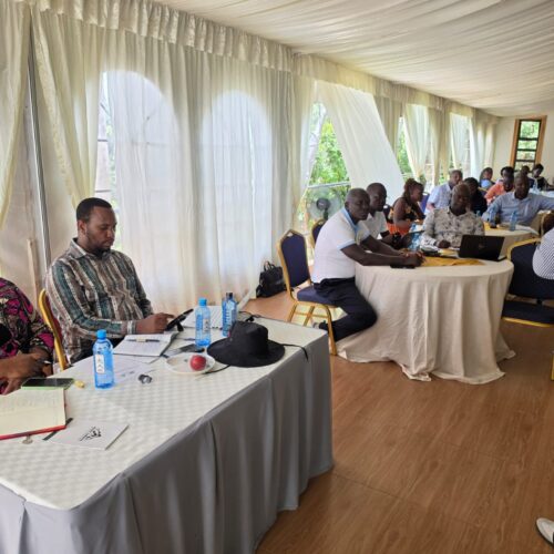 WhatsApp Image 2026-04-1we6 at 11.07.23