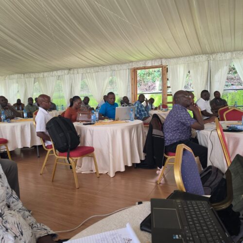 WhatsApp Image 2026-er04-16 at 11.07.24