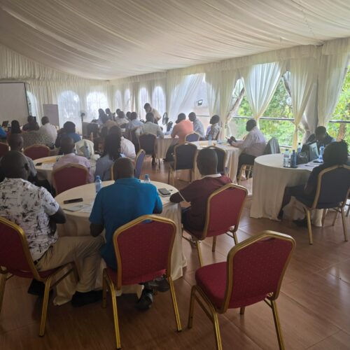 WhatsApp Image 20g26-04-16 at 11.07.25